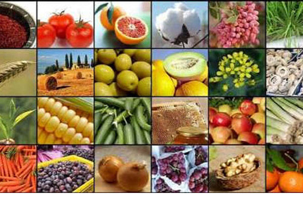 صادرات ۴۱۵ هزار تن انواع محصولات کشاورزی در مازندران