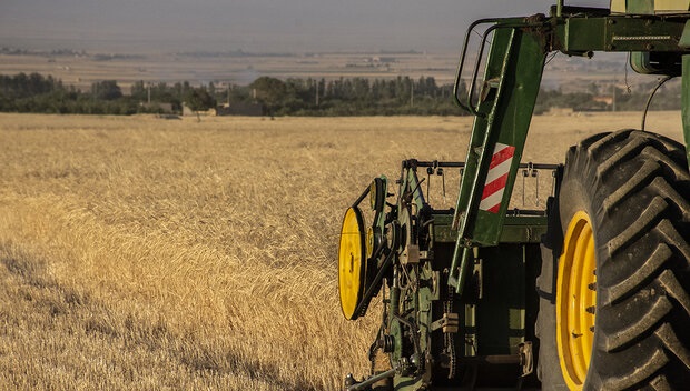 آمادگی استان تهران برای برداشت گندم