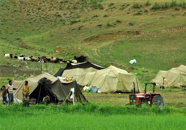 رئیس سازمان امور عشایر ایران: آخرین سرشماری عشایر مربوط به ١٢ سال پیش است