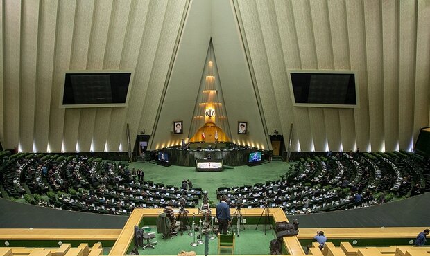 نماینده ایلام در تذکر شفاهی: مجلس نباید با تورم قوانین و فراکسیون سازی مواجه شود