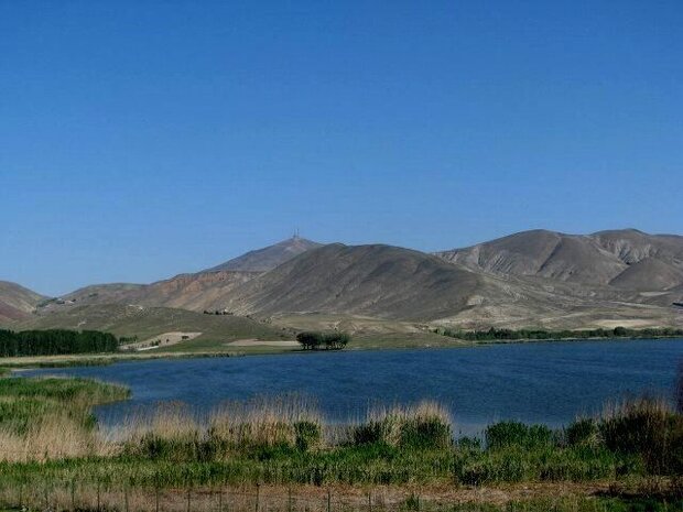 نمک زدایی از آب شور با یون زدایی خازنی توسط محققان کشور